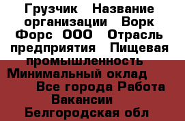 Грузчик › Название организации ­ Ворк Форс, ООО › Отрасль предприятия ­ Пищевая промышленность › Минимальный оклад ­ 25 000 - Все города Работа » Вакансии   . Белгородская обл.